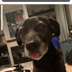 Meet your Posher, Maureen a